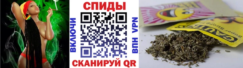 OMG ONION  где можно купить   Советская Гавань  Бутират оксана 
