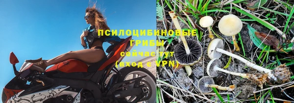 ALPHA PVP Осинники