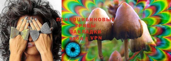ALPHA PVP Осинники
