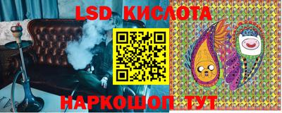 прущие грибы Бийск