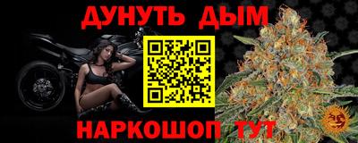 прущие крисы Гатчина