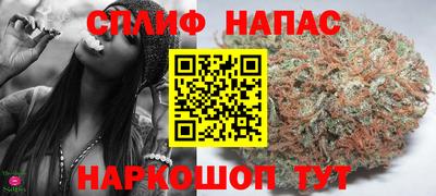 сатива Гай