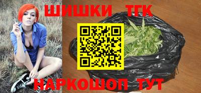 сатива Гай