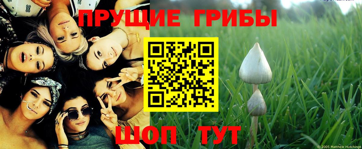 Псилоцибиновые грибы прущие грибы Советская Гавань
