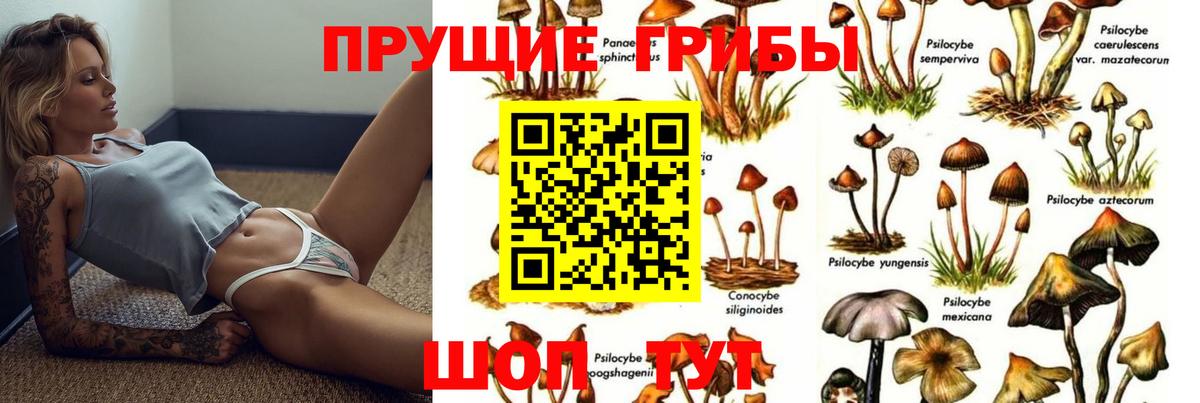 Галлюциногенные грибы мицелий  Вход с VPN  Галлюциногенные грибы Psilocybine cubensis  Советская Гавань 