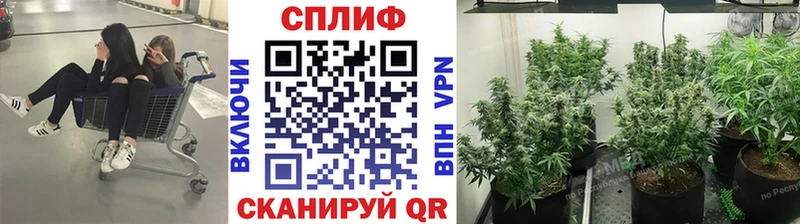 KRAKEN маркетплейс  купить наркотики сайты  Советская Гавань  Бошки Шишки MAZAR 